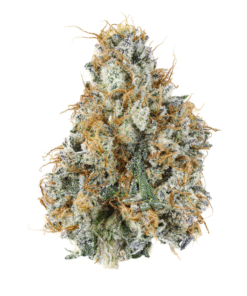 Gary Payton THCa Flower