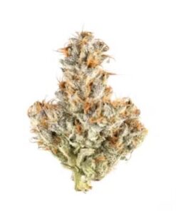 Inzane In The Membrane